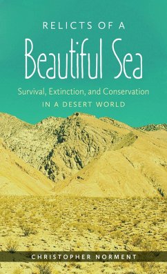 Cover Relicts of a Beautiful Sea (eBook, ePUB)
