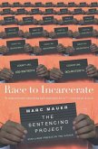 Race to Incarcerate (eBook, ePUB)