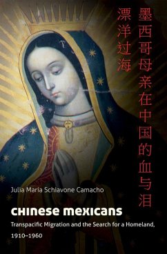 Cover Chinese Mexicans (eBook, ePUB)