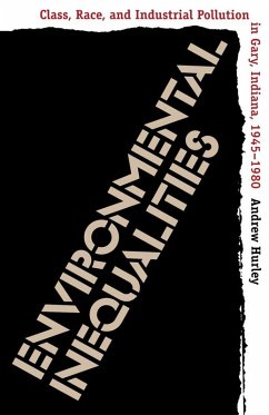Cover Environmental Inequalities (eBook, ePUB)