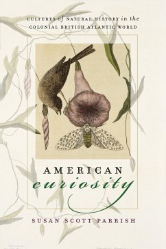 Cover American Curiosity (eBook, ePUB)