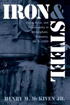 Cover Iron and Steel (eBook, ePUB)