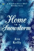 Home in a Snowstorm (eBook, ePUB)