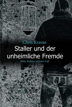 Staller und der unheimliche Fremde (eBook, ePUB) - Krause, Chris