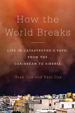 How the World Breaks (eBook, ePUB) - Cox, Stan; Cox, Paul