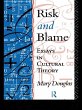 Risk and Blame (eBook, ePUB) - Bild 1