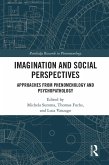 Imagination and Social Perspectives (eBook, PDF)