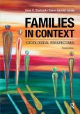 Families in Context (eBook, PDF)