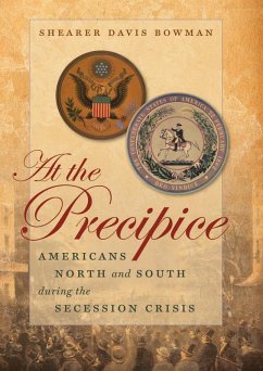 Cover At the Precipice (eBook, ePUB)