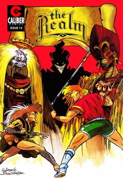 Cover Realm #13 (eBook, PDF)