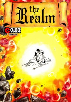 Cover Realm #15 (eBook, PDF)