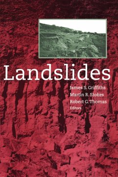 Cover Landslides (eBook, ePUB)