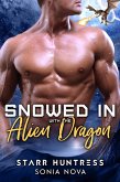 Snowed in with the Alien Dragon (eBook, ePUB)