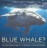 Have You Ever Seen A Blue Whale? Animal... - Bild 1