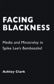 Facing Blackness (eBook, ePUB)
