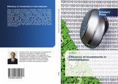 Efficiency of investments in informatization - Bolun, Ion