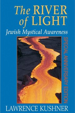 The River of Light (eBook, ePUB) - Kushner, Rabbi Lawrence