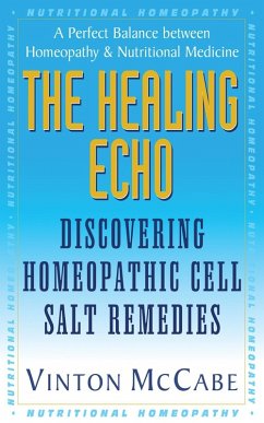 The Healing Echo (eBook, ePUB) - Mccabe, Vinton