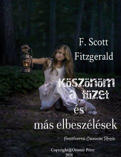 Köszönöm a tüzet és más elbeszélések (eBook, ePUB) - Fitzgerald, Scott