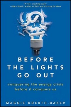 Cover Before the Lights Go Out (eBook, ePUB)
