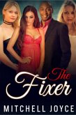 The Fixer (eBook, ePUB)