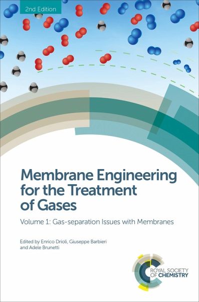 Membrane Engineering for the Treatment of Gases (eBook, ePUB)