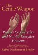 The Gentle Weapon (eBook, ePUB) - Bild 1