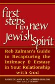 First Steps to a New Jewish Spirit (eBook, ePUB)