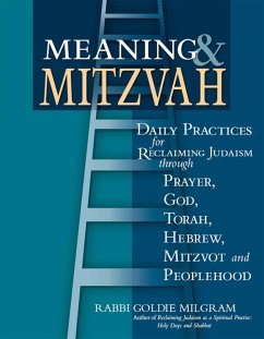 Cover Meaning & Mitzvah (eBook, ePUB)