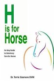 H is for Horse (eBook, ePUB)