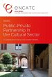 Public-Private Partnership in the... - Bild 1