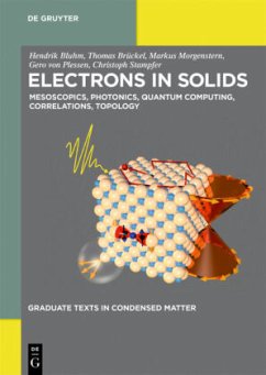 Electrons in Solids - Hendrik Bluhm; Thomas Brückel; Markus Morgenstern; Gero Plessen; Christoph Stampfer