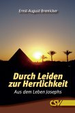 Durch Leiden zur Herrlichkeit (eBook, ePUB)