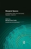 Marginal Spaces (eBook, ePUB)