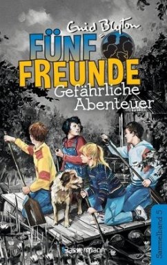 Gefährliche Abenteuer / Fünf Freunde Doppelbände Bd.5 - Blyton, Enid