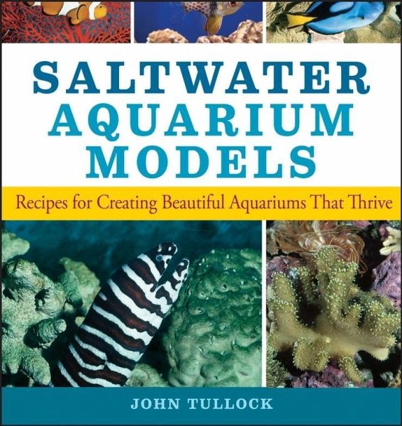 Saltwater Aquarium Models (eBook, ePUB)