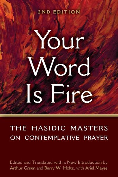 Your Word is Fire (eBook, ePUB) Your Word is Fire (eBook, ePUB)