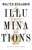 Illuminations (eBook, ePUB)