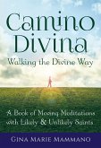 Camino Divina-Walking the Divine Way (eBook, ePUB)
