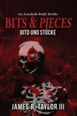 Bits & Pieces (eBook, ePUB)