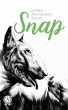Snap (eBook, ePUB) - Bild 1