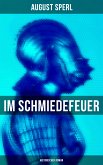 Im Schmiedefeuer - Historischer Roman (eBook, ePUB)