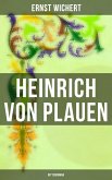 Heinrich von Plauen: Ritterroman (eBook, ePUB)