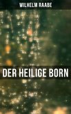 Der heilige Born (eBook, ePUB)