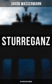 Sturreganz: Historischer Roman (eBook, ePUB)