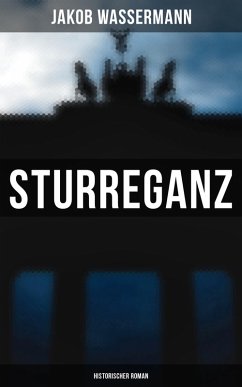 Cover Sturreganz: Historischer Roman (eBook, ePUB)