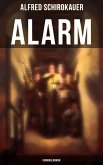 Alarm: Kriminalroman (eBook, ePUB)