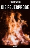 Die Feuerprobe: Ein Tagtraum (eBook, ePUB)