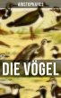 Aristophanes: Die Vögel (eBook, ePUB) - Bild 1
