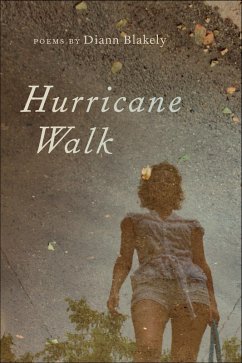 Cover Hurricane Walk (eBook, ePUB)